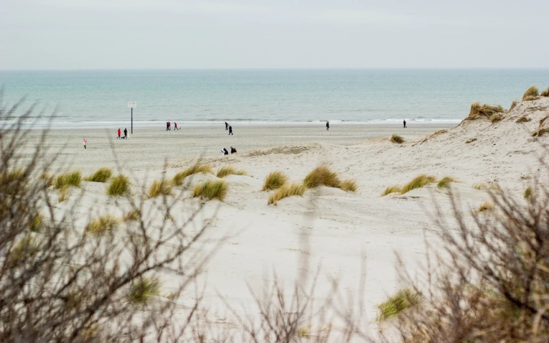 Winterauszeit an der Nordsee – der reinste Gesundbrunnen